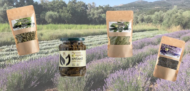 Organic herbs from Chios background image